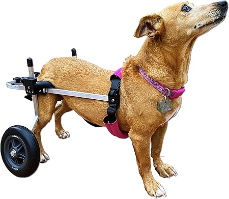 silla de ruedas para perros amazon