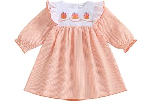 Faithtur Back to School Outfits for Girls Letter Fruit Embroidery First Day of School Dress for Preschool Kindergarten