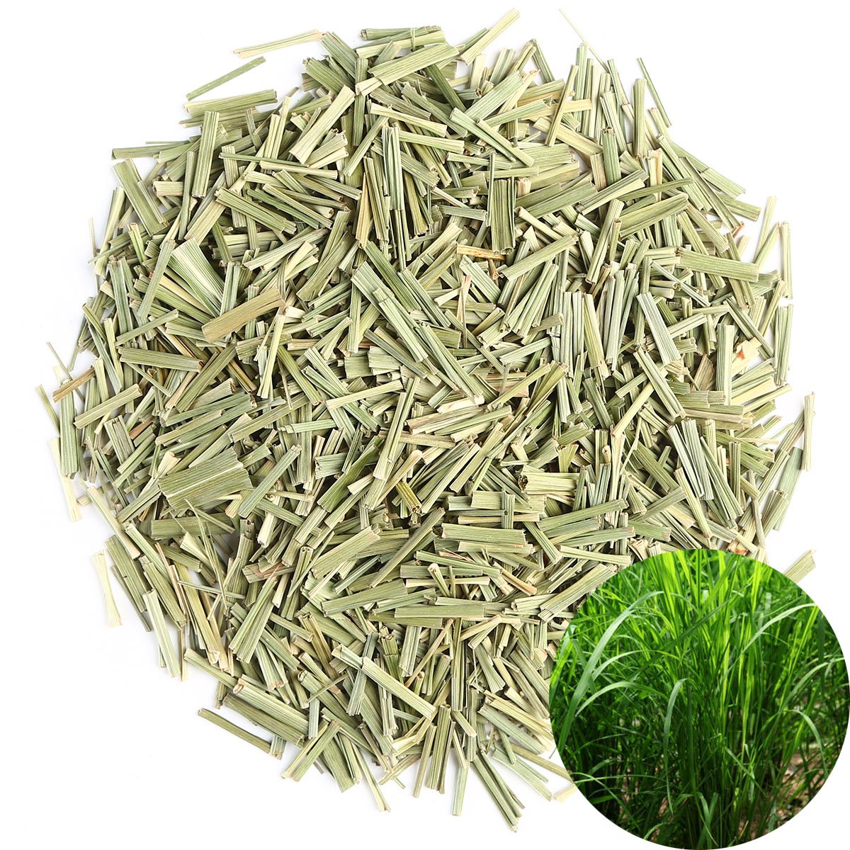 Buy TooGet Natural Dried Lemongrass Cut, Natural Cymbopogon Flexuosus 4 OZ Online at Low