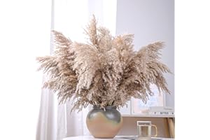 ROOLLYA 20 Stems 28" inch Large Brown Pampas Grass Decor Tall - Natural Fluffy Pompas Grass Bulk Tall Pampas Grass for Floor Vase - Boho Decor Home Decor Wedding Decor Event Decor，Gift