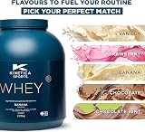Kinetica Whey Protein Powder Banana 2.27Kg 76 Servings 23g Protein view 8