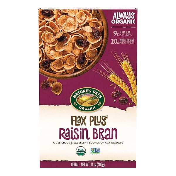 NATURE’S PATH ORGANIC FLAX PLUS RAISIN BRAN CEREAL, 14 OZ (PACK OF 1), NON-GMO