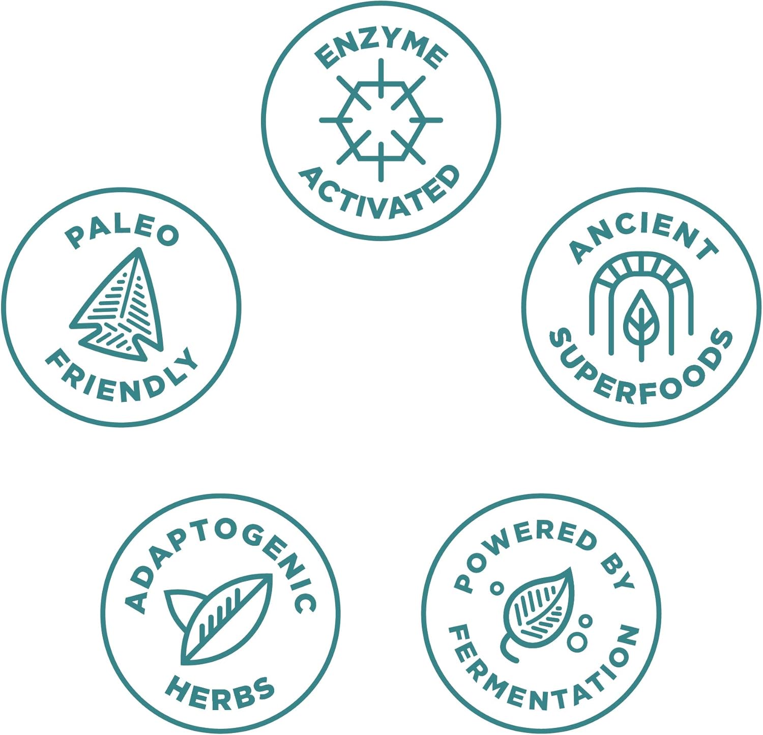 Ancient Multi Men’s Once Daily - Multi Vitamin & Immune Support, Adaptogenic Herbs, Paleo & Keto Friendly, 30 Capsules: Health & Personal Care