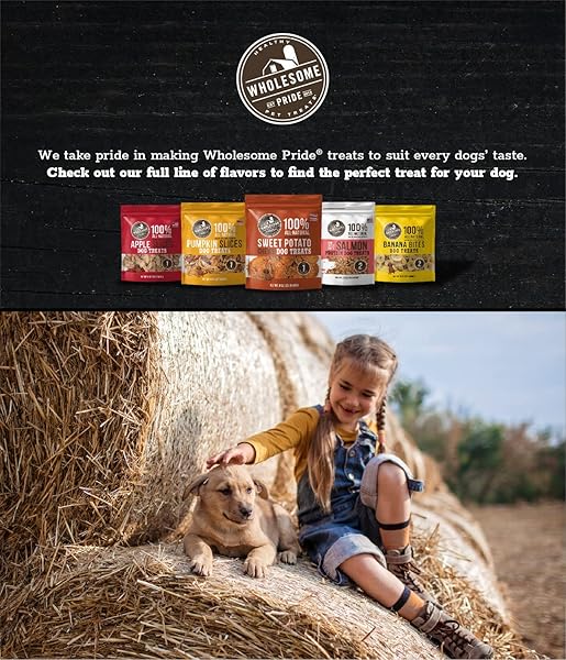 WHOLESOME PRIDE FUNCTIONAL DOG SKIN & COAT SUPPORT SALMON RECIPE JERKY BITES DOG TREATS – 8 OZ