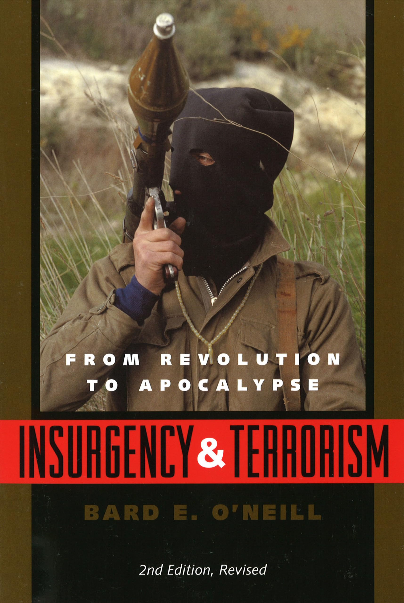 Insurgency+Terrorism