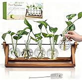 Renmxj Plant Propagation Station, Propagation Vases for Plants, Unique Gardening Birthday Gifts for Women Plant Lovers Mom Best Friend - 5 Bulb Glass Vases