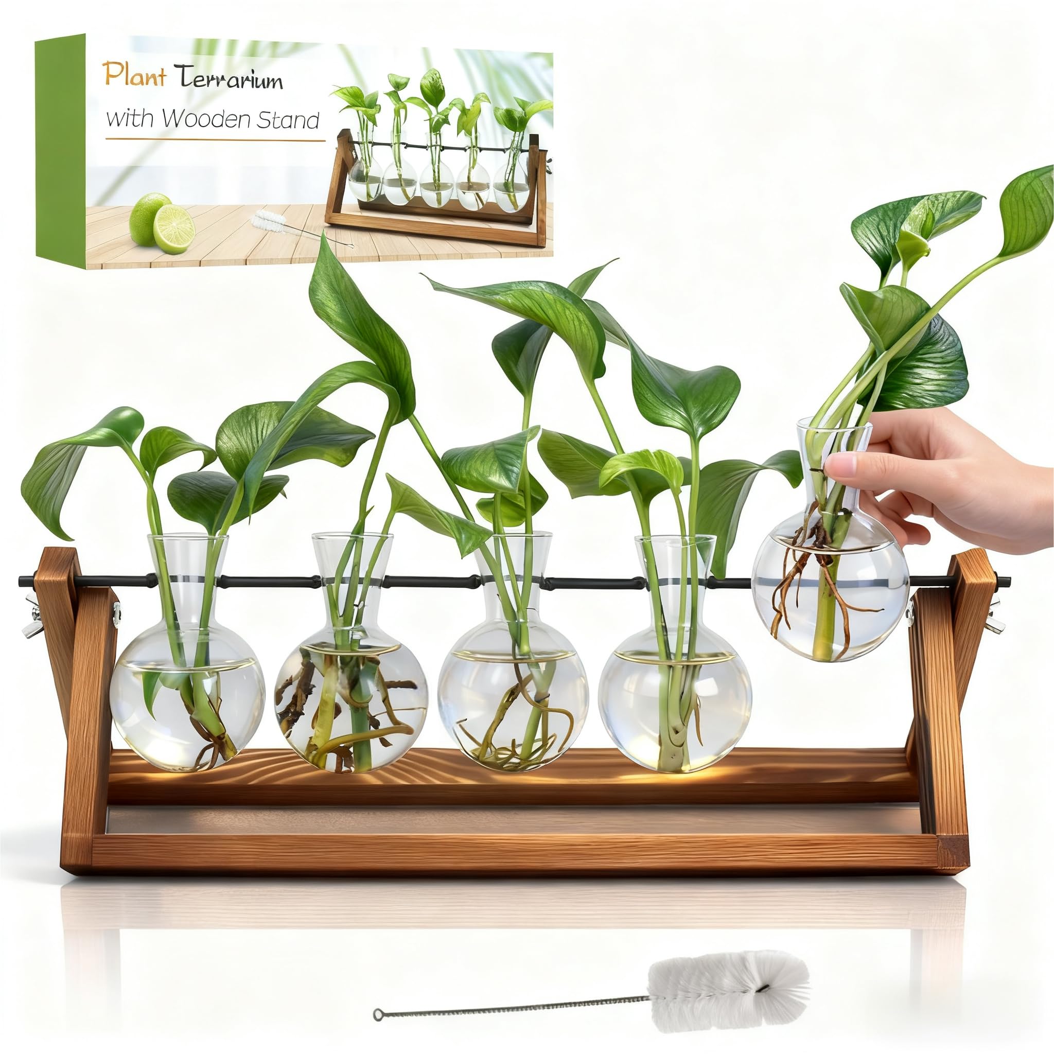 Photo 1 of ***MISSING PARTS***
Renmxj Plant Propagation Station, Propagation Vases for Plants, Unique Gardening Birthday Gifts for Women Plant Lovers Mom Best Friend - 5 Bulb Glass Vases