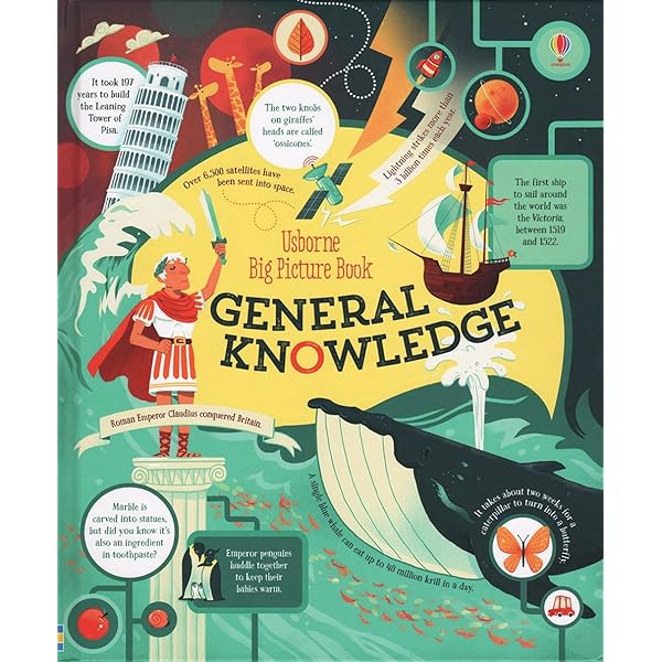 Big Picture Book Of General Knowledge: James MacLaine