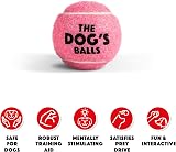 The Dog's Balls Pink Small 6-Pack Dog Tennis Balls - Floats Non-Abrasive view 2