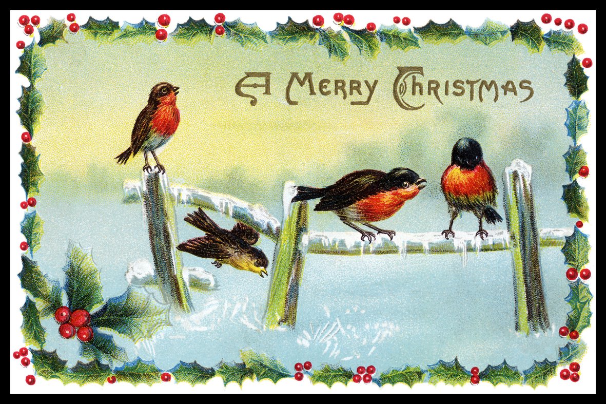 Digital Republic.Com 40081 Door Mat Polyamide PVC Plastic Phthalate-Free