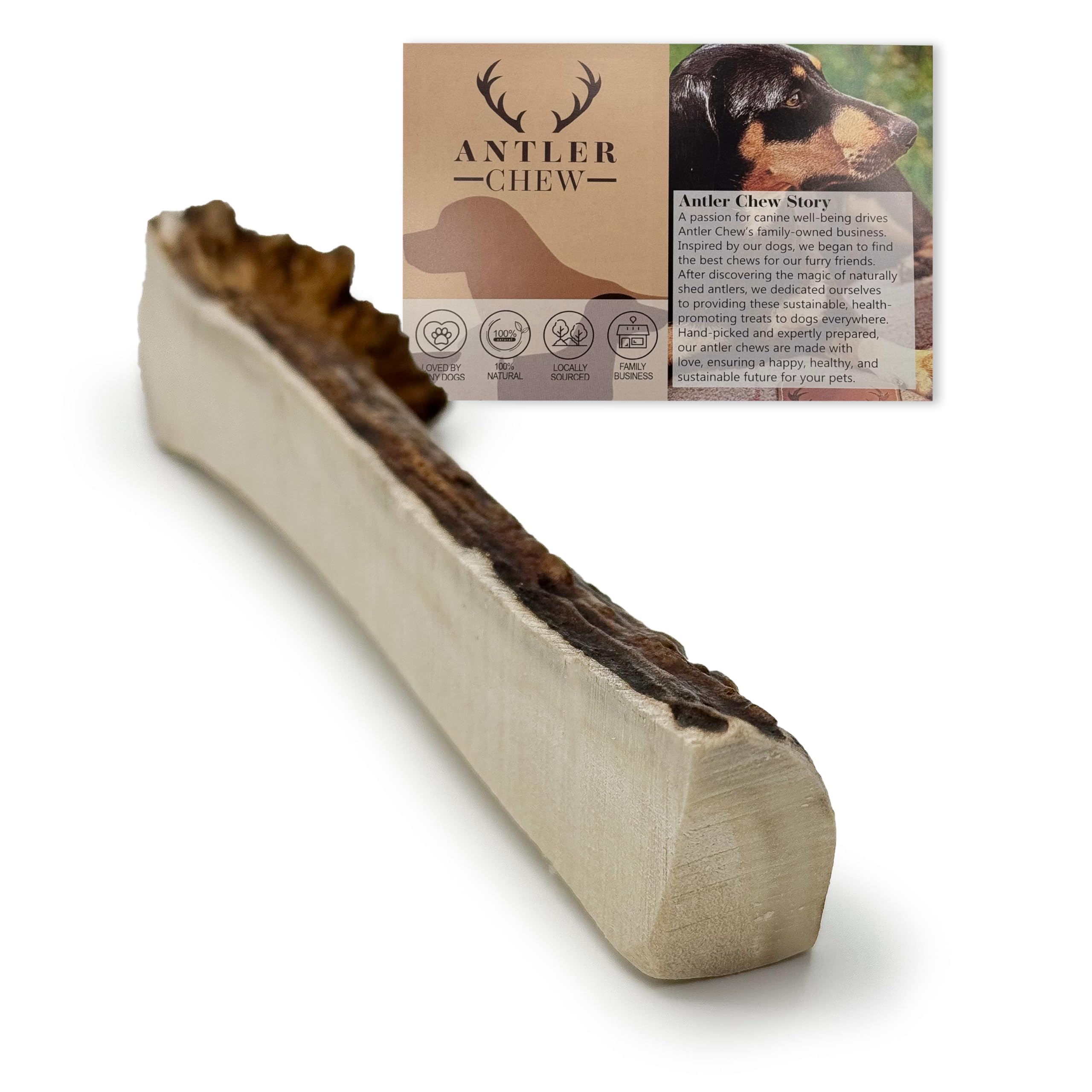 Antler Chew - Medium Elk/Moose Split Antler for Dogs (70-120g, from 10cm) - Indestructible, Long-Lasting Natural Treats, Promotes Dental Health, Odorless, All Breeds