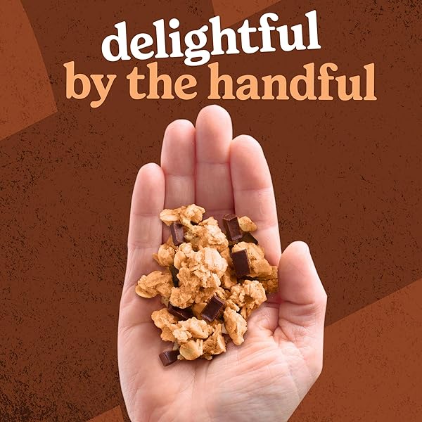 KELLOGG’S EXTRA GRANOLA, WHOLE GRAIN, ON-THE-GO SNACKS, CHOCOLATE CHUNK, 11OZ BAG (1 BAG)