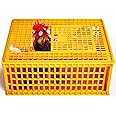 Poultry Carrier Crate Plastic Chicken Transport Cage Heavy Duty Chicken Crates and Cages Poultry Carrier Basket Box for Bird Duck Goose 13 Adult Chickens, 29.5 x 21.7 x 13 Inch