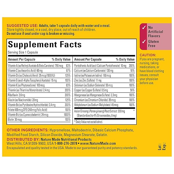 NATURE MADE MULTI + GINSENG, DAILY ENERGY MULTIVITAMIN FOR ADULTS, ONE PER DAY VITAMIN, 60 CAPSULES