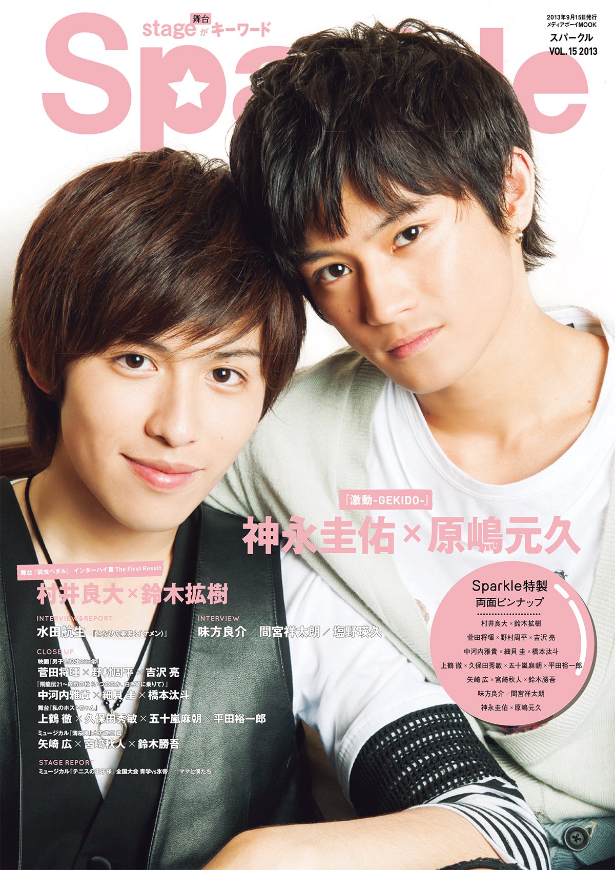 Sparkle Vol 15 メディアボーイmook 本 通販 Amazon