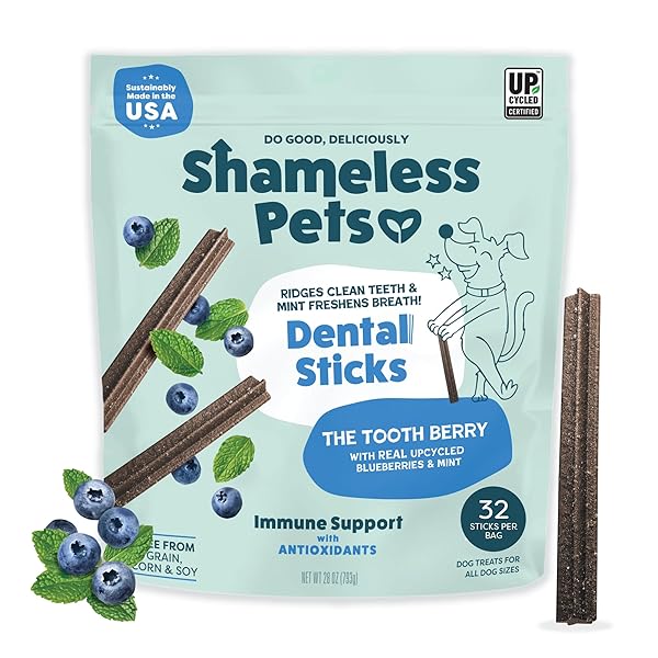 SHAMELESS PETS BLUEBERRY & MINT DENTAL CHEWS FOR...