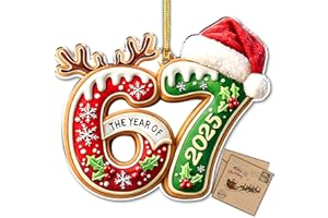 HANGWOOUS Gingerbread 67 Christmas Ornament, 2025 Christmas Ornament, 67 Teen Girls Trendy Stuff, 67 Stuff, Stocking Stuffer, Funny Ornament, Gen Z Gifts, Gingerbread Xmas Picks