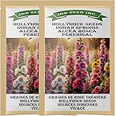 Indian Springs Hollyhock Seeds - 2 Packs x 100+ Seeds Each | Grow Your Canadian Family Garden