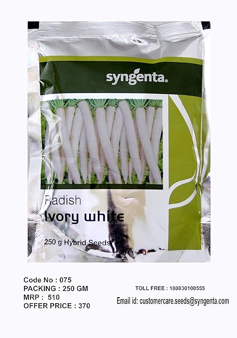 Syngenta Organic F1 Hybrid Radish Ivory White High yielding Vegetable seeds