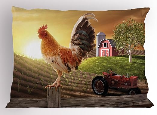 Amazon Com Ambesonne Country Pillow Sham Farm Barn Yard Image