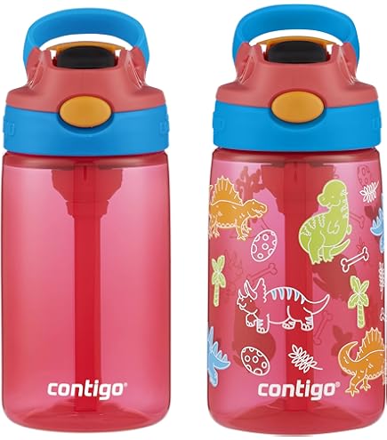 fuchsia pink stanley cup Stanley 30oz Quencher H2.0 FlowState  Ruby Rae's
