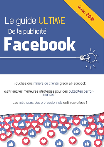 Download Le guide ultime de la publicité Facebook PDF