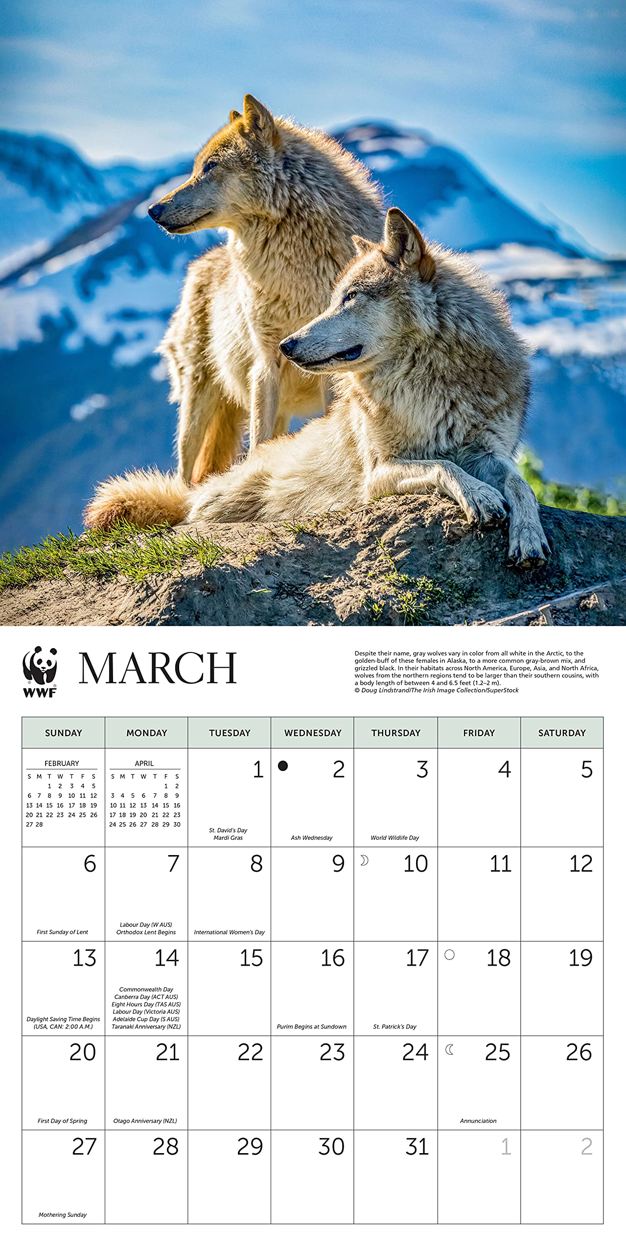 New Wwf Calendar 2022 Photos Bfsdqp Plant Calendar 2022