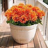 ICEROYCE 6 Pcs Halloween Artificial Chrysanthemum Flowers Fake Mum Balls with Stem Mini Silk Bouquets for Table, Wedding, Party Decorations (Orange)