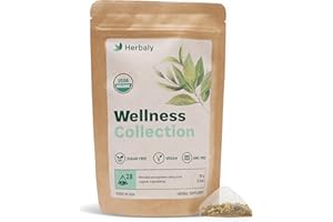 Herbaly Wellness Collection Organic Herbal Ginger Tea, 70 g, 28 Count Bag (Pack of 1)