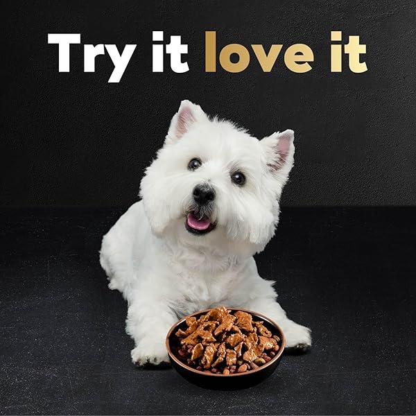 CESAR FILETS IN GRAVY WET DOG FOOD ROTISSERIE CHICKEN FLAVOR, FILET MIGNON FLAVOR, AND WOOD-GRILLED CHICKEN VARIETY PACK, WET FOOD FOR DOGS, 1.76 OZ. MINI-POUCHES, 40 COUNT