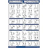 Palace Learning Dumbbell Workout Exercise Poster - Free Weight Body Building Guide | Home Gym Chart - LAMINATED, 18" x 24"
