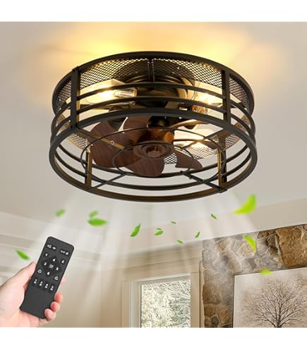 Amazon.com: ZYD Caged Ceiling Fans with Lights and Remote