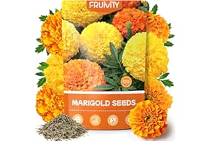 Fruivity Petite French Marigold Seeds for Planting, 400+ Flower Seeds Non-GMO Heirloom Seed Packet,Home and Garden Easy to Grow, Indoor & Outdoor Gardening, Companion Plant & Quick Blooming
