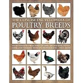 The Concise Encyclopedia of Poultry Breeds: An Illustrated Directory of over 100 Chickens, Ducks, Geese and Turkeys, With 275 Photographs
