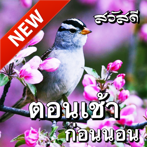 good morning in thai