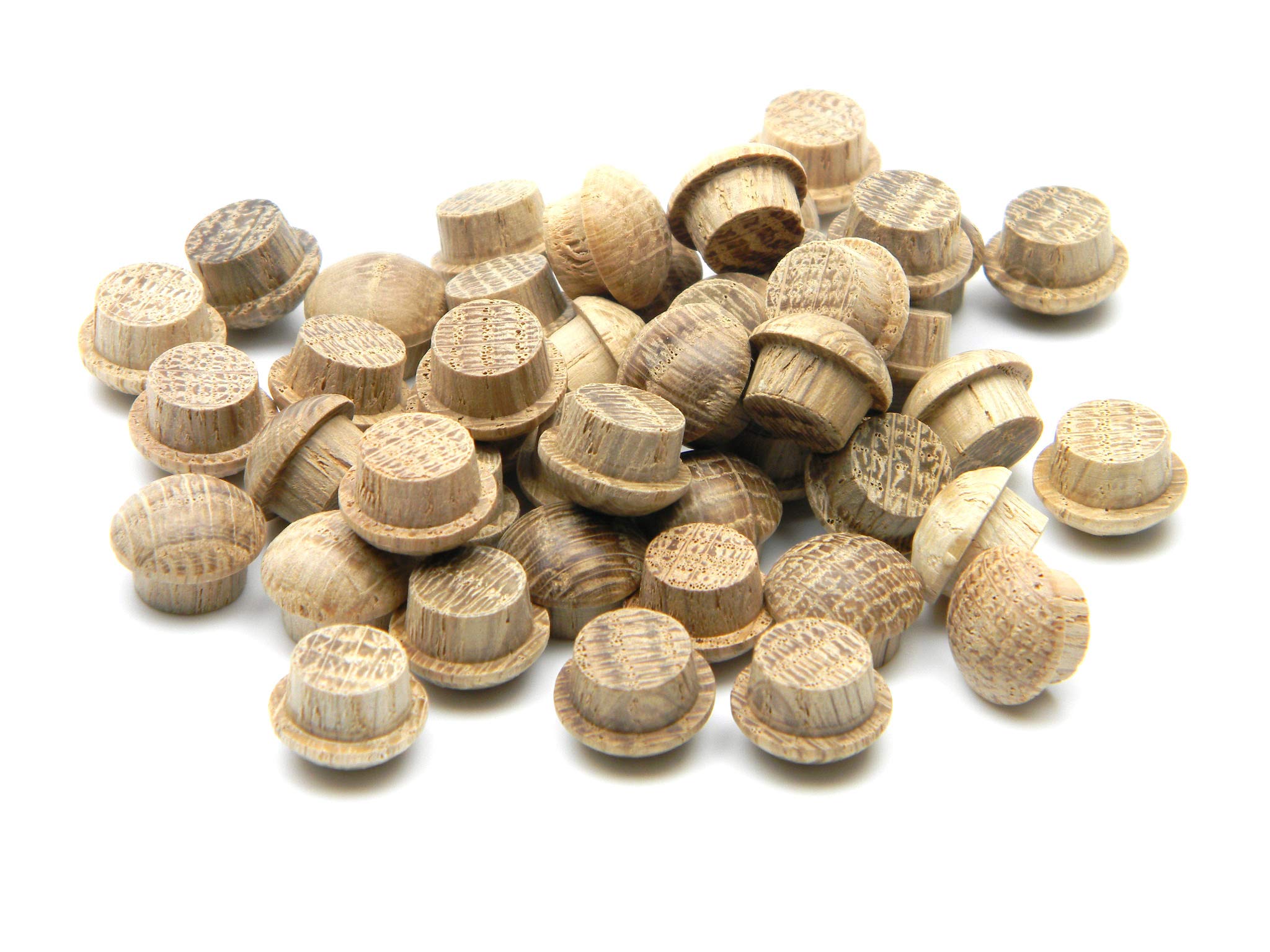 Oak Mushroom Plug 1/4" 6.5mm - Pack of 100