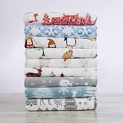 Great Bay Home Extra Soft Velvet Plush Queen Micro