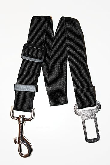 dog harness and seat belt for car