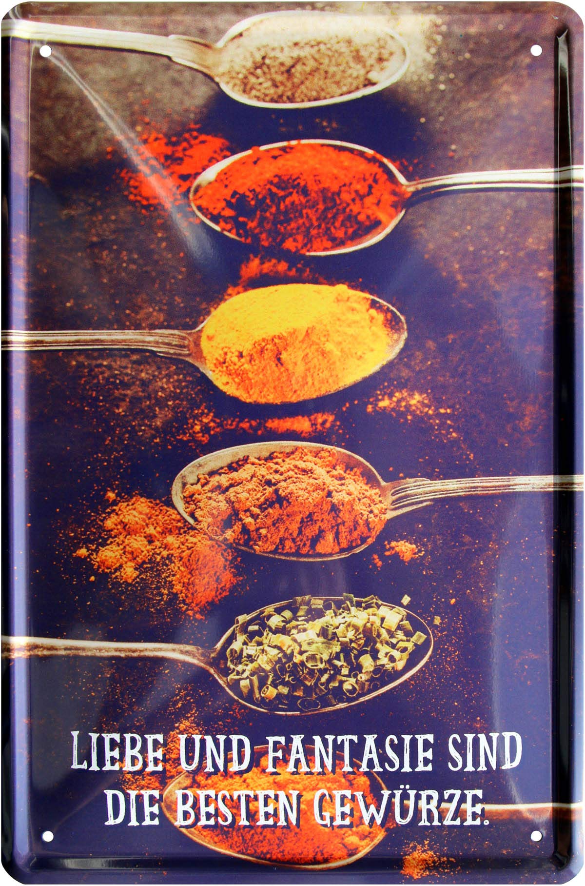 Love and Fantasy Are The Best Spices 20 x 30 cm Funny Decorative Tin Sign 811