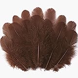 Soarer 300pcs Brown Feathers for Crafts - 3-5inch