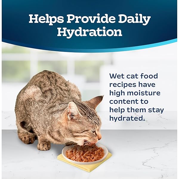 BLUE BUFFALO TASTEFULS NATURAL TENDER MORSELS WET CAT FOOD, CHICKEN ENTRÉE 3-OZ CANS (PACK OF 24)