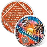 Beach Sunset 1 Year Sobriety Coin, Affirmation NA Coin, Addiction Recovery One Year Sober Chip, Celebrating Recovery Anniversary Token, Narcotics Anonymous Sobriety Gifts for Men Women