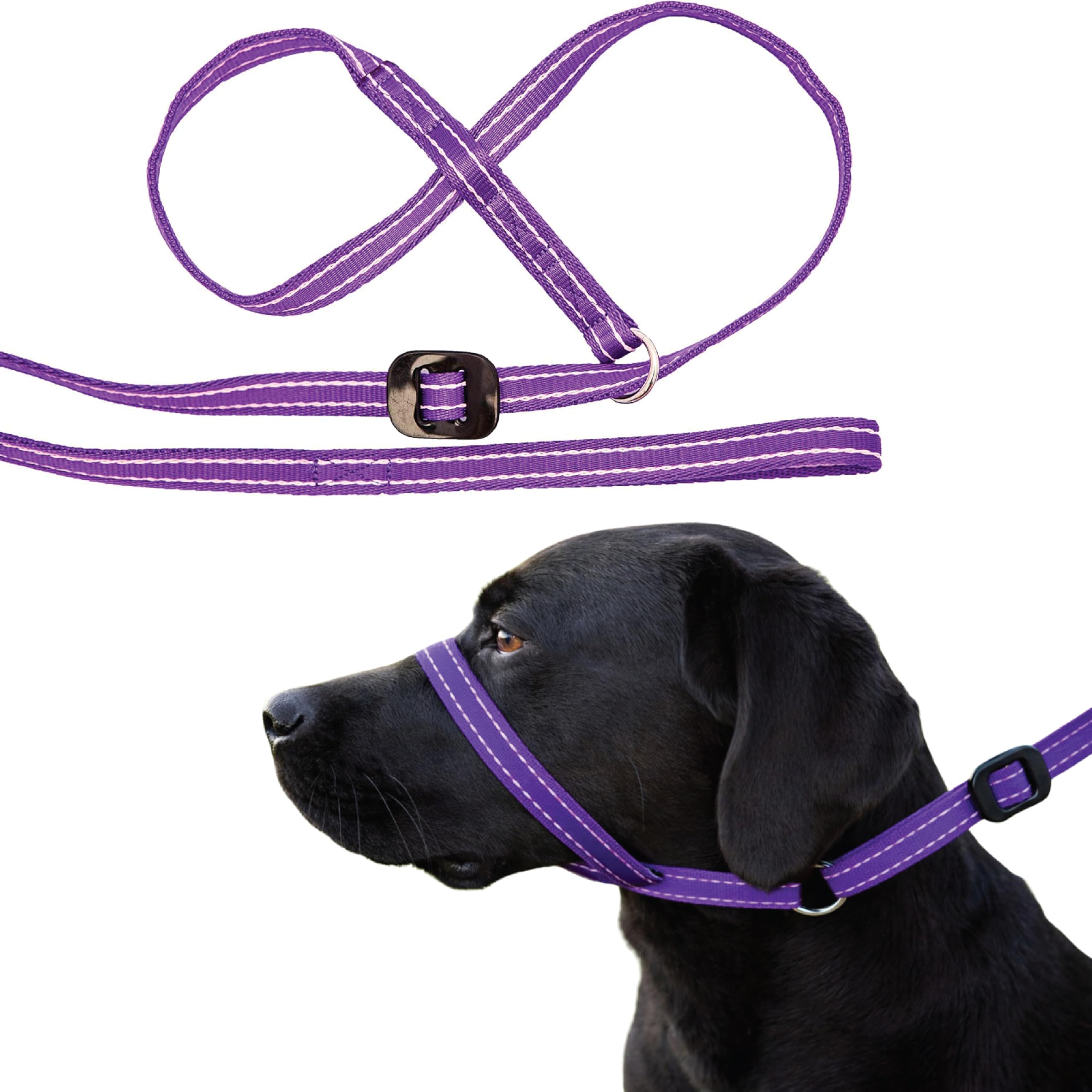 Gencon - All-in-One Anti Pull Dog Lead and Headcollar - Trainer Approved - Figure of 8 Dog Lead with Soft Loop Handle, Gentle Control - Right Hand - Washable - UK Made - Purple/Pink
