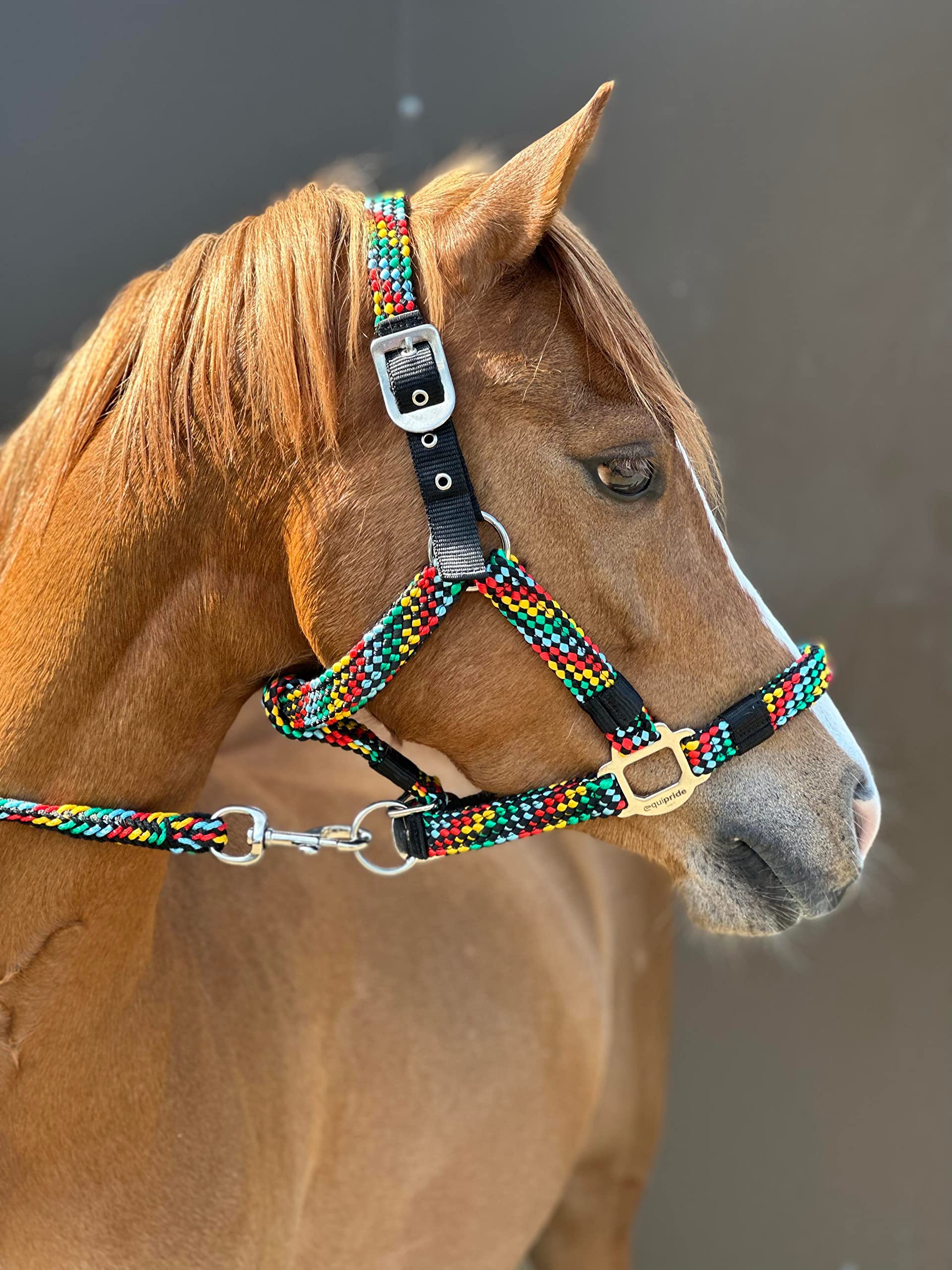 Equipride Braided Headcollar Lead Rope Set Size Full-Shetland (Pony, Multicoloured)