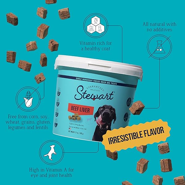 STEWART 100% BEEF LIVER DOG TREATS, 21 OZ TUB, ~475 PIECES, FREEZE DRIED RAW, 50% PROTEIN, SINGLE INGREDIENT TRAINING TREATS OR MEAL TOPPER, GRAIN FREE, GLUTEN FREE