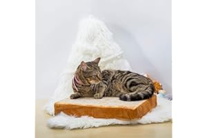 Gefryco Cat Beds for Indoor Cats, Pet Mats Cushion for Cat and Small Dogs Creative Toast Bread Slice Mattress (Sponge Core)