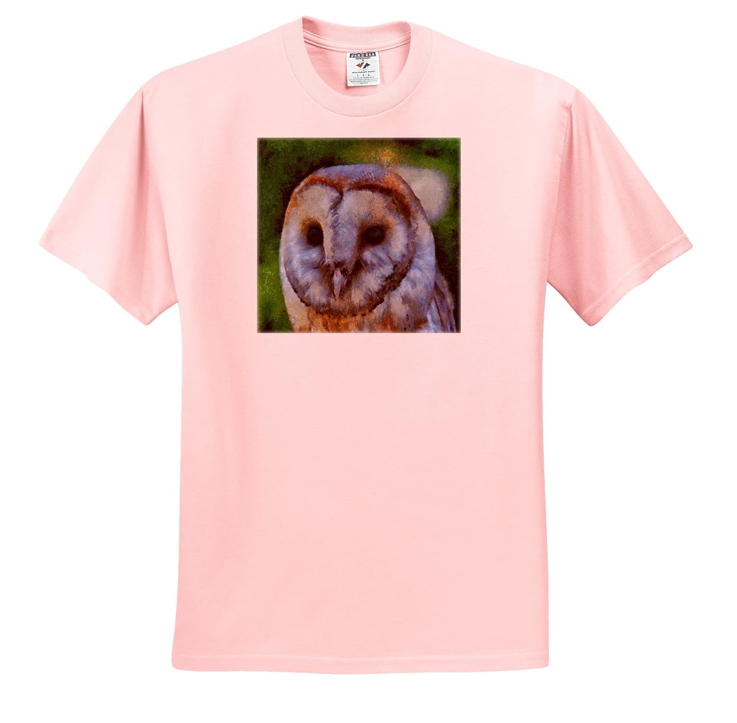 Amazon Com 3drose Taiche Acrylic Painting Owls Barn Owl A