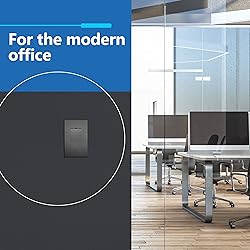 LIDER Brushed Finish Decorator Switch