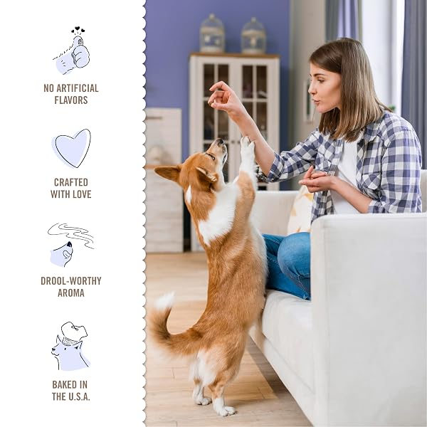 THREE DOG BAKERY SOFT BAKED CLASSIC COOKIES WITH OATS AND APPLE, PREMIUM TREATS FOR DOGS, 13 OUNCE BOX (114334)