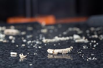 WEN 6550T featured image 5